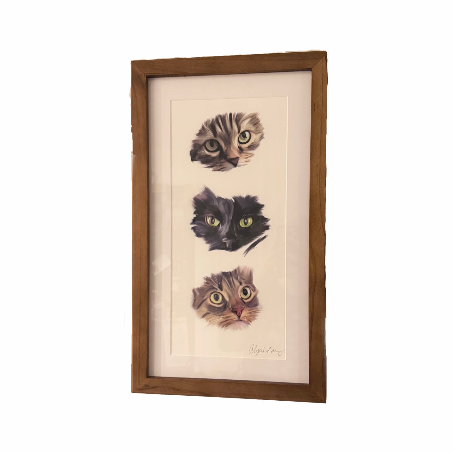 Custom Commission On Fine Art Paper - Framed