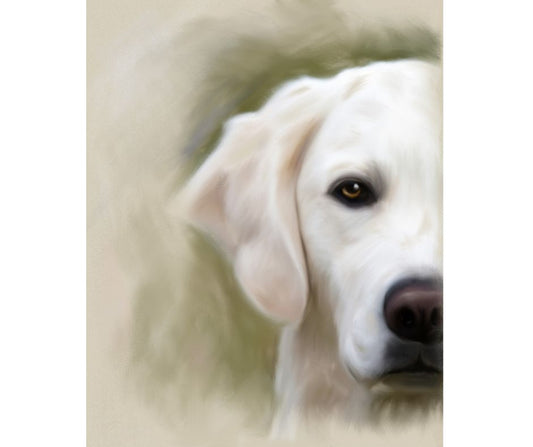 Custom Commission On Fine Art Paper, One Subject